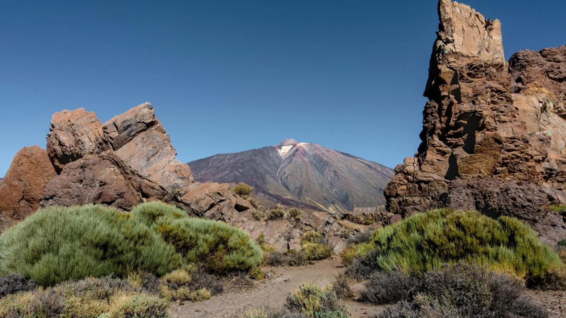 Eden Rentals Rincon De Miramar El Medano  Apartment El Medano (Tenerife)